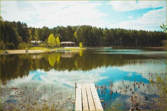 (база, отдыха, голубое, московской, области) База отдыха