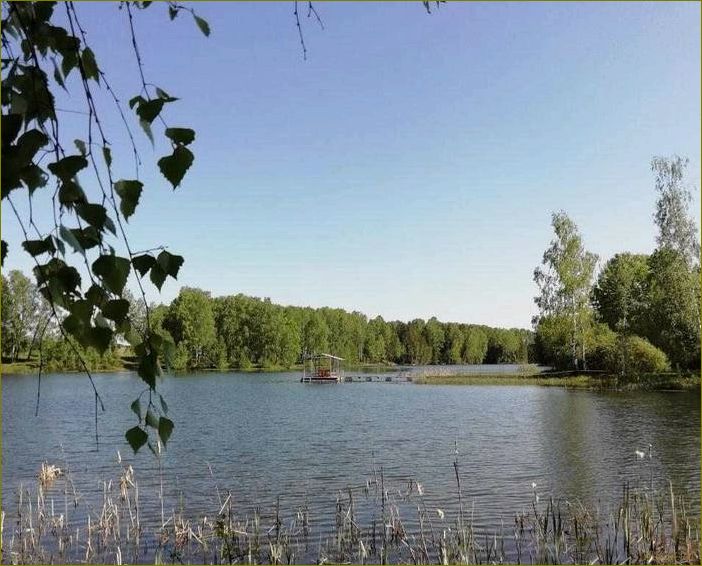 (база, отдыха, гороховецком, районе, владимирской) База отдыха в гороховецком районе Владимирской области — идеальное место для релакса и наслаждения природой