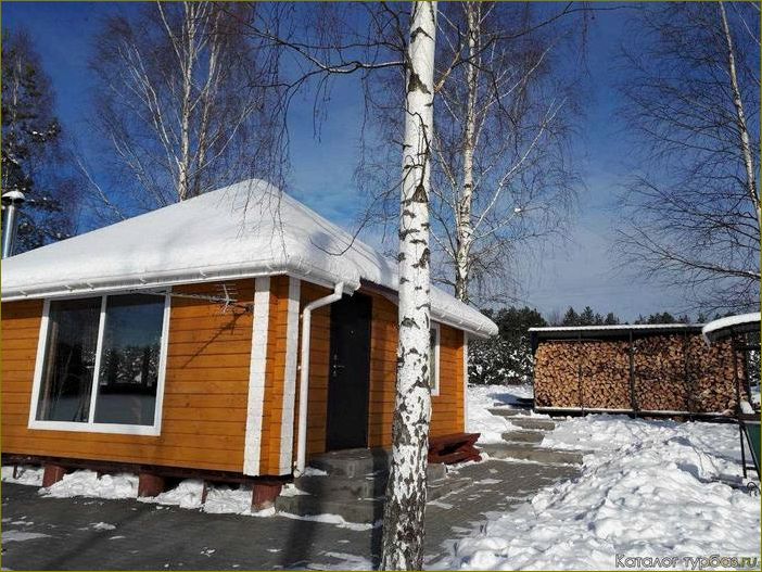База отдыха в Клинцовском районе Брянской области — наслаждайтесь природой и комфортом в живописном уголке России