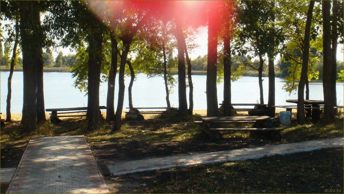 (база, отдыха, серебряный, ключ, воронежской) База отдыха