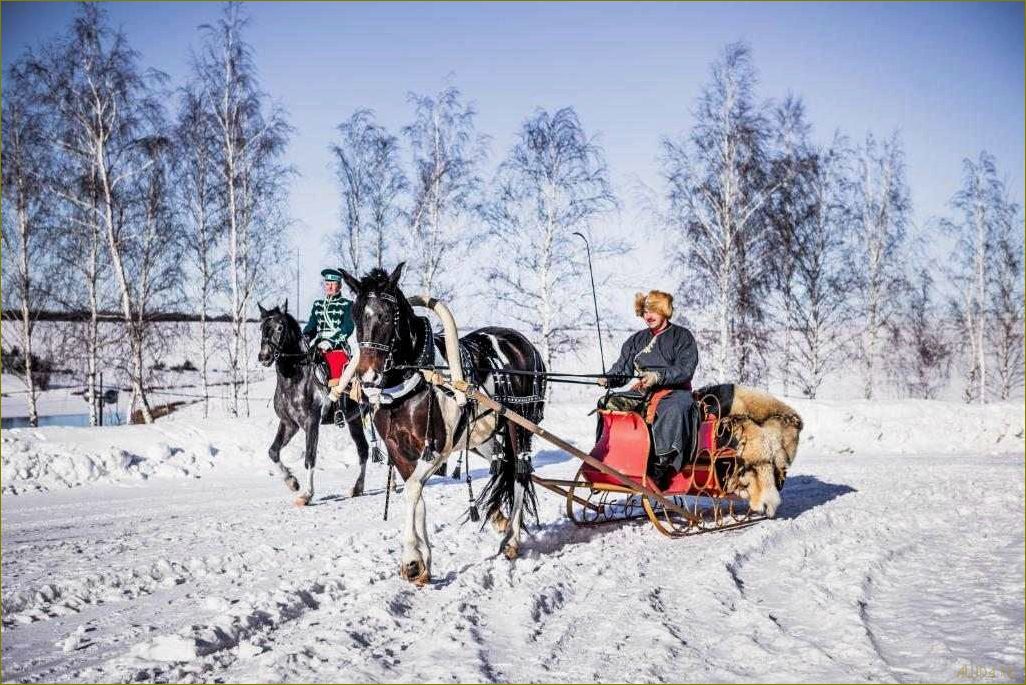 (база, отдыха, казаках, липецкой, области) База отдыха в Казаках Липецкой области — идеальное место для релакса и активного времяпрепровождения в окружении природы