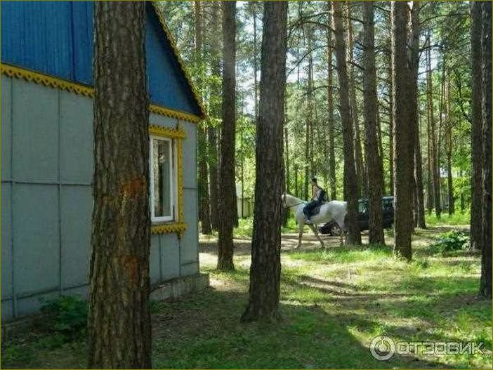 (база, отдыха, казаках, липецкой, области) База отдыха в Казаках Липецкой области — идеальное место для релакса и активного времяпрепровождения в окружении природы