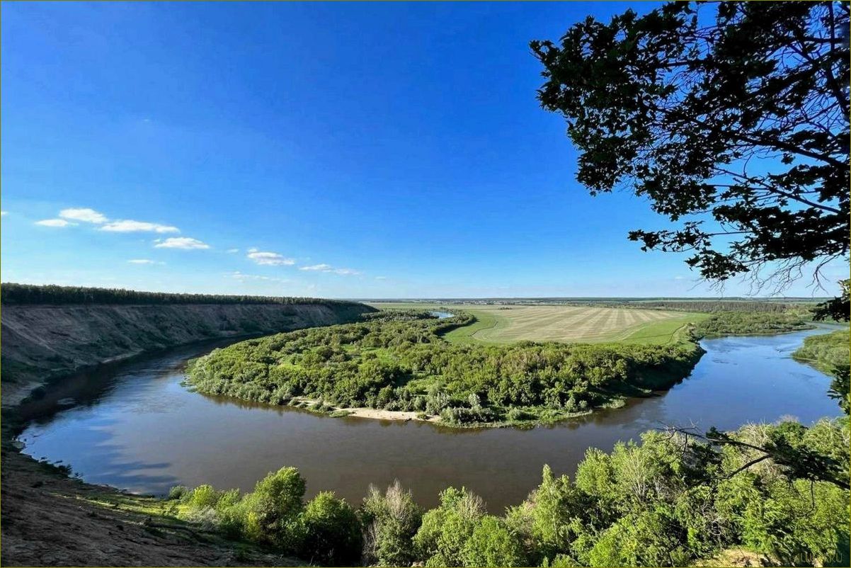 (база, отдыха, кривоборье, воронежской, области) База отдыха