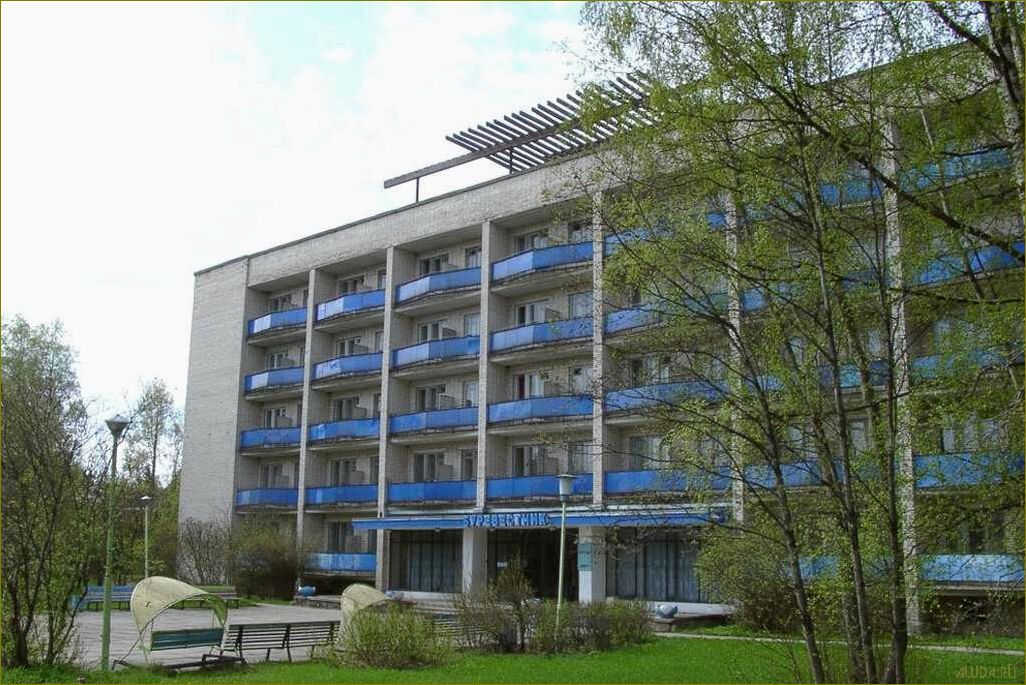 Путеводитель по уникальной базе отдыха и пансионату в Ленинградской области 