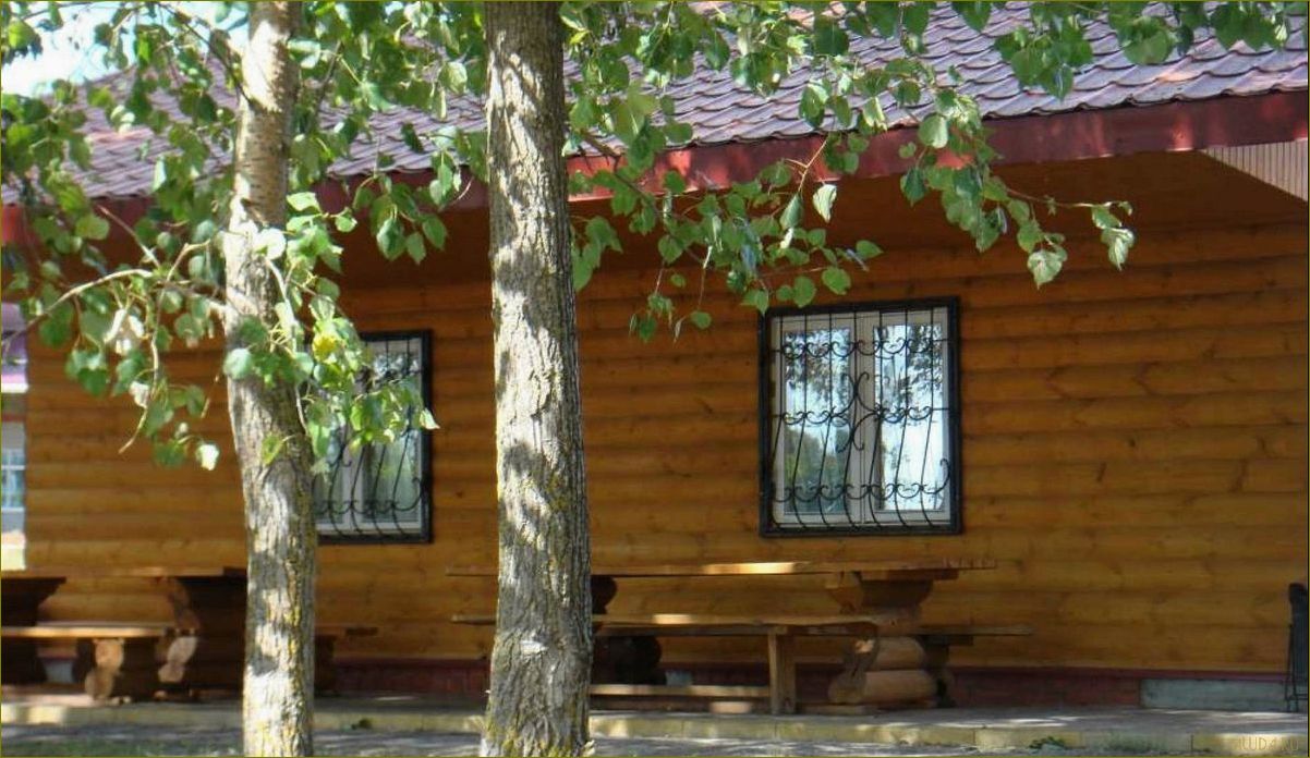 (база, отдыха, серебряный, ключ, воронежской) База отдыха