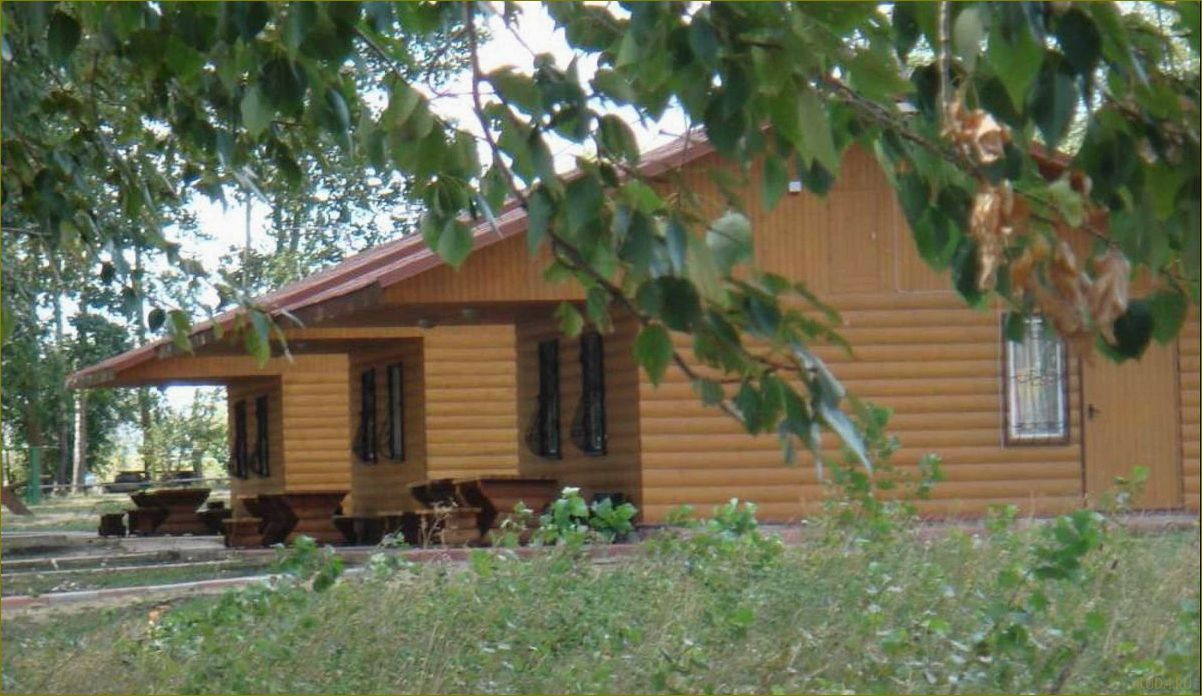 (база, отдыха, серебряный, ключ, воронежской) База отдыха