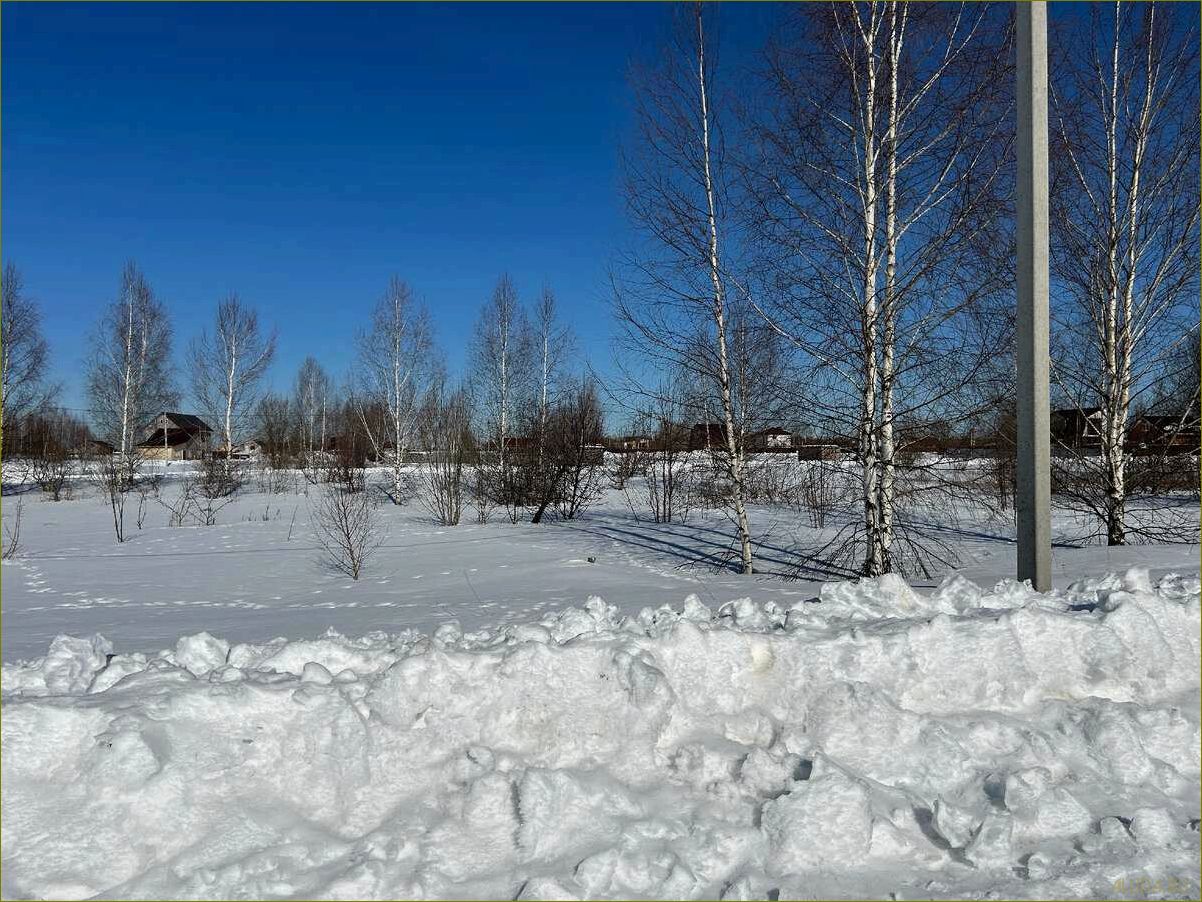 (оздоровительный, комплекс, базе, отдыха, александровском) Оздоровительный комплекс на базе отдыха в Александровском районе Владимирской области — отличное место для полноценного отдыха и восстановления сил