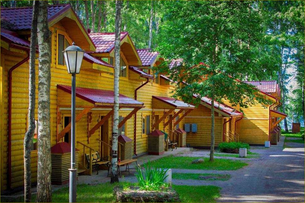 (лучшие, базы, отдыха, ленинградской, области) Лучшие базы отдыха в Ленинградской области для организации незабываемого корпоративного мероприятия