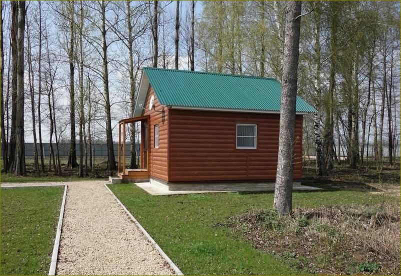 (лучшие, базы, отдыха, липецке, липецкой) Лучшие базы отдыха в Липецке и Липецкой области с уютными домиками для незабываемого отдыха