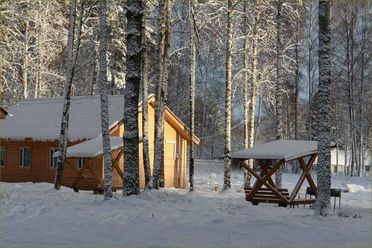 (лучшие, базы, отдыха, ленинградской, области) Лучшие базы отдыха в Ленинградской области для организации незабываемого корпоративного мероприятия