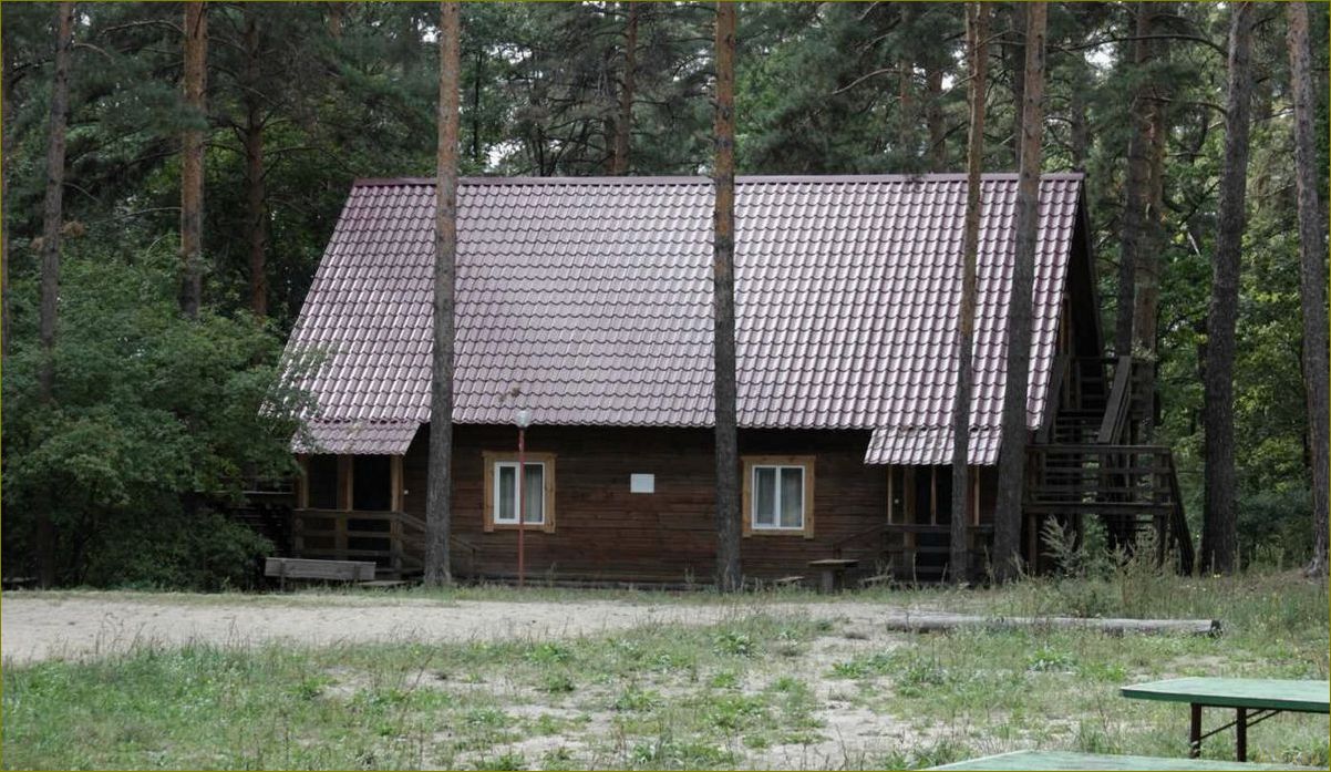 (лучшие, базы, отдыха, липецке, липецкой) Лучшие базы отдыха в Липецке и Липецкой области с уютными домиками для незабываемого отдыха