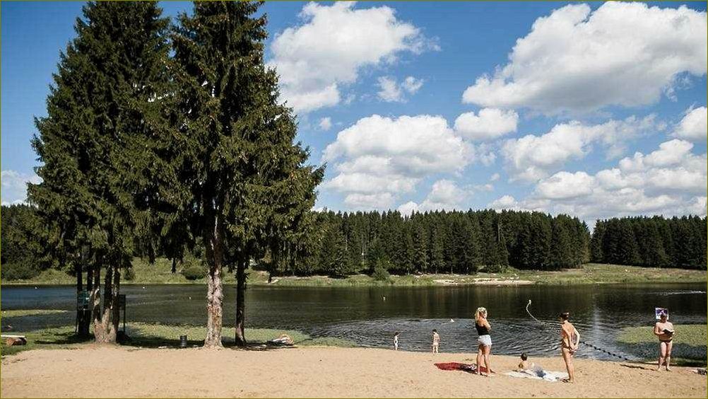 (дикие, места, отдыха, московской, области) Дикие места отдыха в Московской области — насладитесь природой в окружении загадочных лесов и глубоких озер