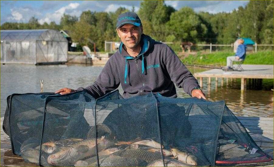 (уникальное, место, отдыха, рыбалки, владимирской) Уникальное место для отдыха и рыбалки в Владимирской области — дом отдыха с комфортными условиями и великолепной природой