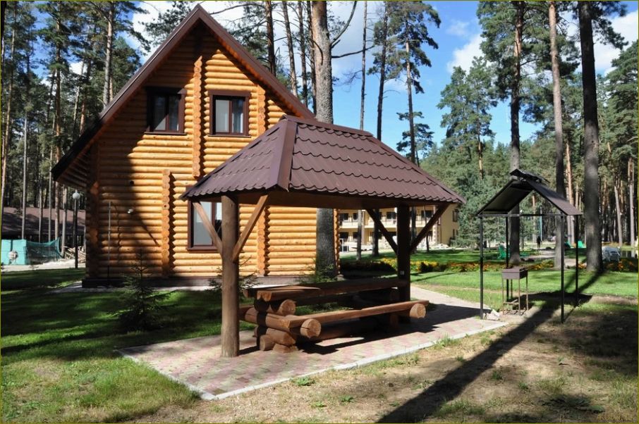 (уникальный, отдыха, живописной, жуковке, брянской) Уникальный дом отдыха в живописной Жуковке Брянской области — идеальный уголок для отдыха и релаксации