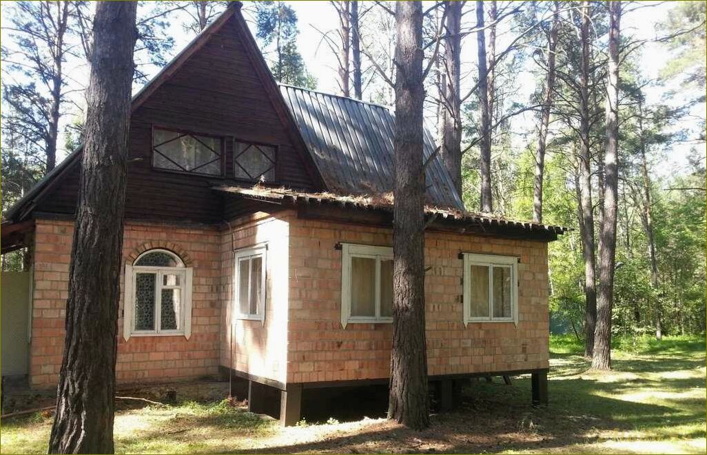 Лучшие дома отдыха в Новосибирске и Новосибирской области — идеальное место для релакса и отпуска