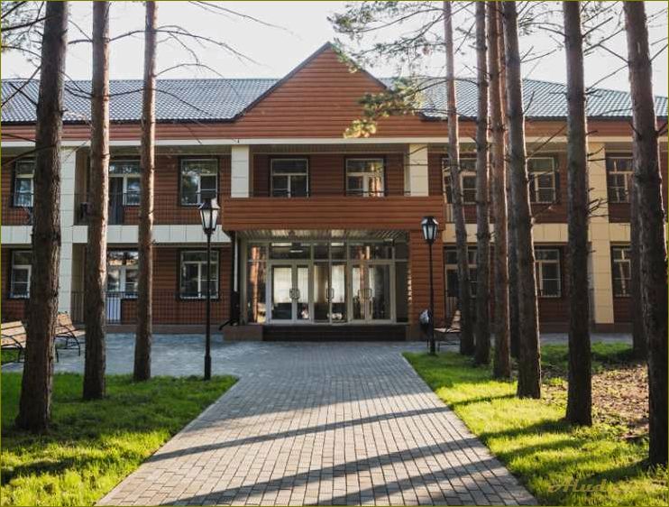 (дома, отдыха, пансионаты, прекрасной, области) Дома отдыха и пансионаты в прекрасной области Новосибирска — идеальное место для отдыха и релаксации