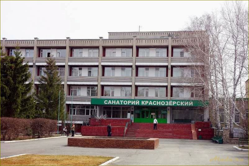 (дома, отдыха, санатории, новосибирской, области) Дома отдыха и санатории в Новосибирской области — идеальное место для полноценного отдыха и восстановления