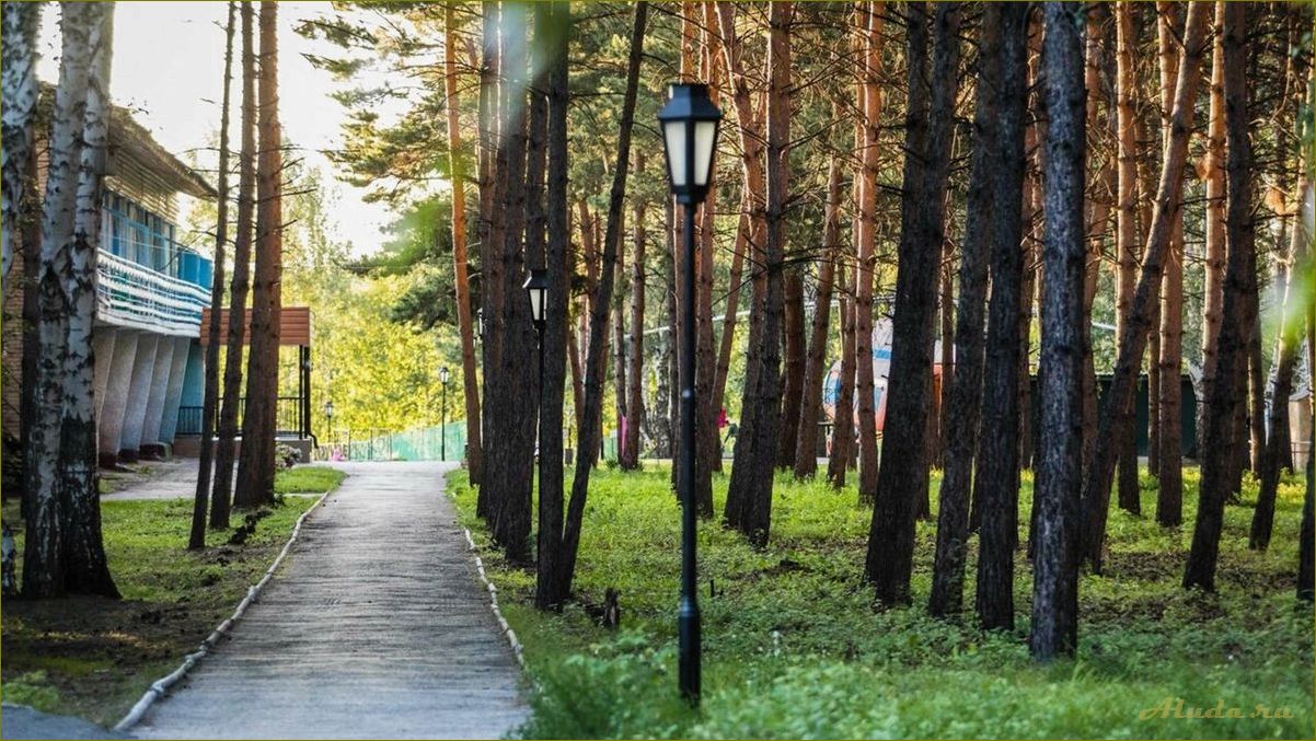 (дома, отдыха, санатории, новосибирской, области) Дома отдыха и санатории в Новосибирской области — идеальное место для полноценного отдыха и восстановления