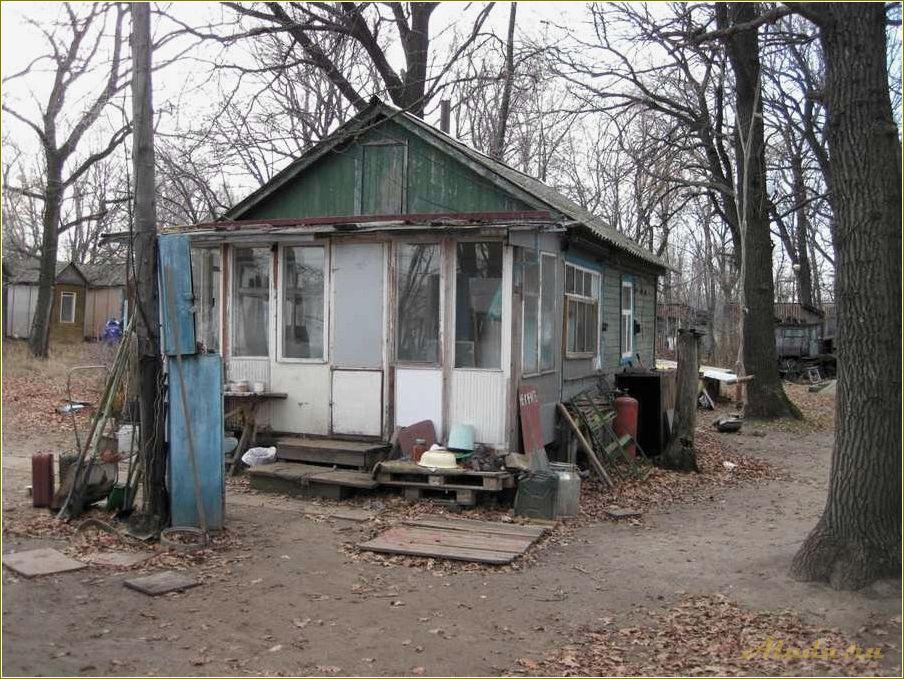 (дубки, база, отдыха, саратовская, область) Дубки база отдыха Саратовская область