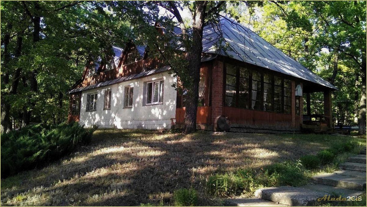 (дубки, база, отдыха, саратовская, область) Дубки база отдыха Саратовская область