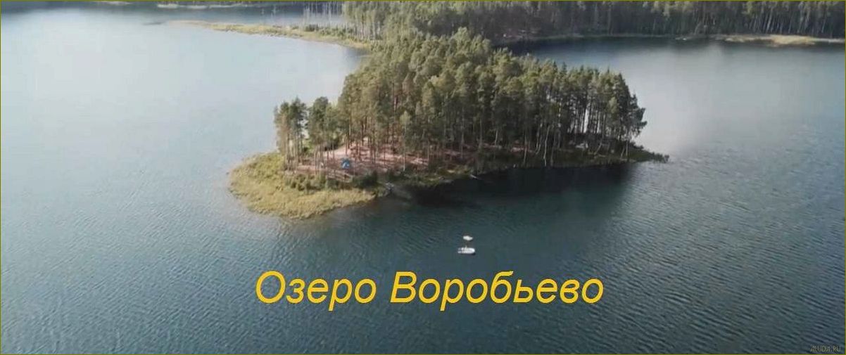(отдых, гусином, озере, ленинградской, области) Отдых на Гусином озере Ленинградской области — прекрасная возможность расслабиться и насладиться природой