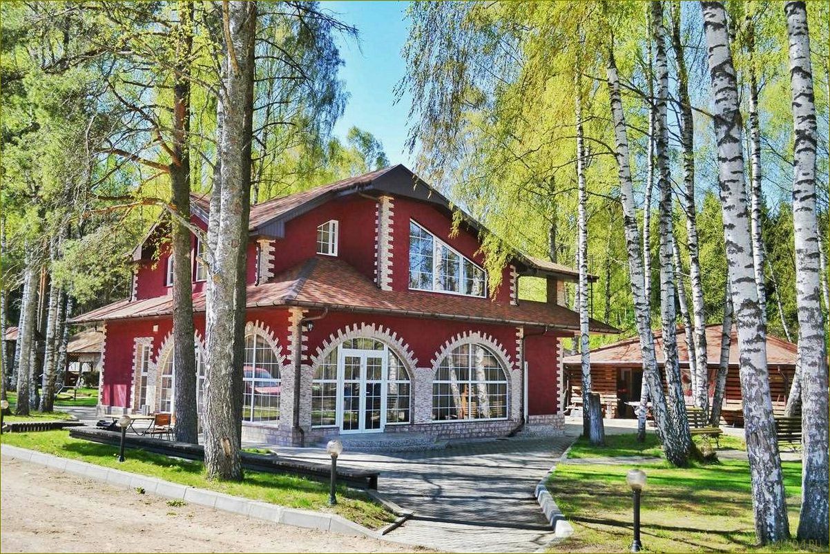 (калининградская, область, идеальное, место, отдыха) Калининградская область — идеальное место для отдыха в домах отдыха и турбазах