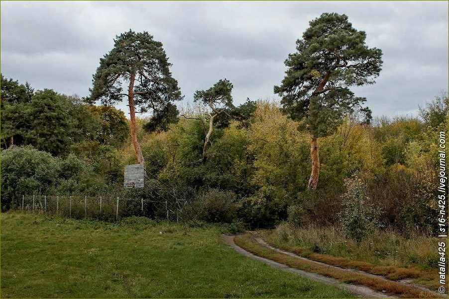 Конь колодезь Липецкой области — одна из самых удивительных и уникальных достопримечательностей, которые стоит посетить