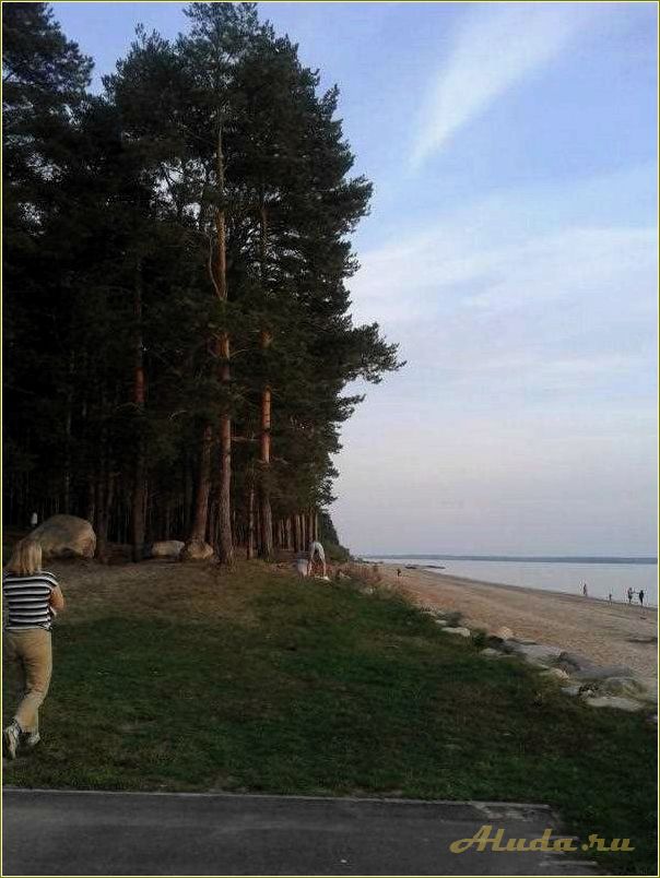 Коприно Ярославская область: отдых с палатками