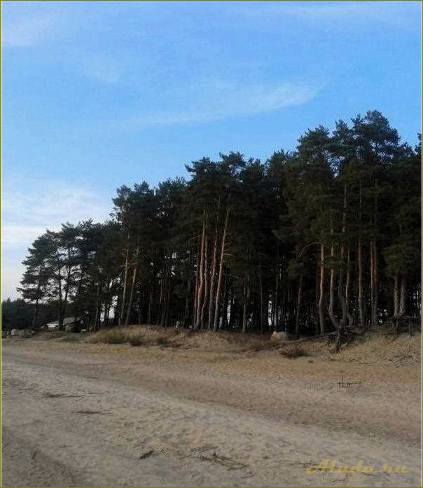 Коприно Ярославская область: отдых с палатками