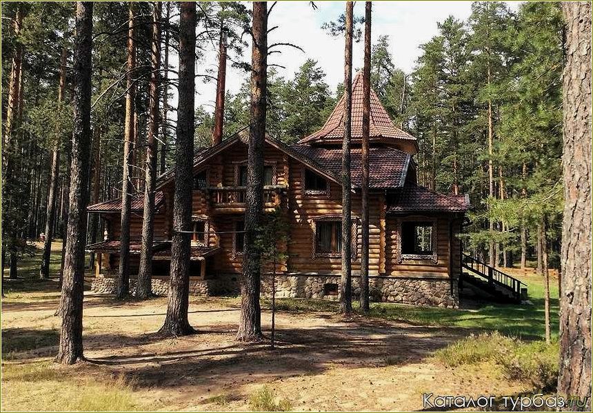 Лучший отдых в Тверской области: открытие красоты родного края