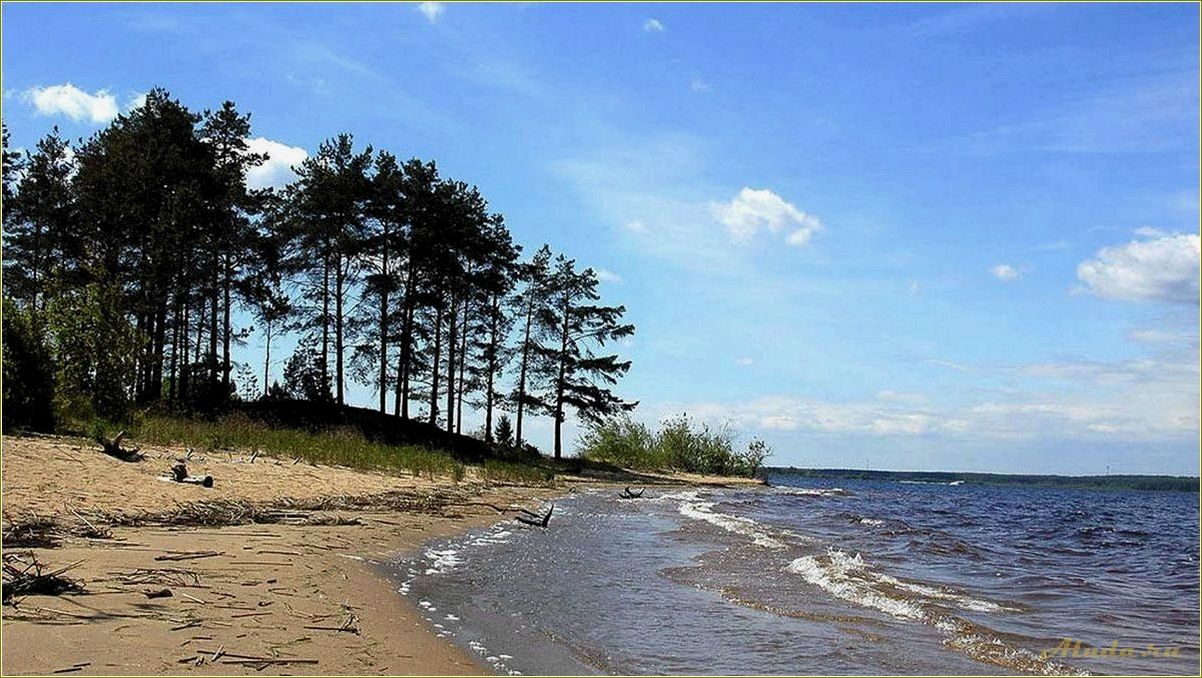 (места, отдыха, волге, ярославской, области) Места для отдыха на Волге в Ярославской области