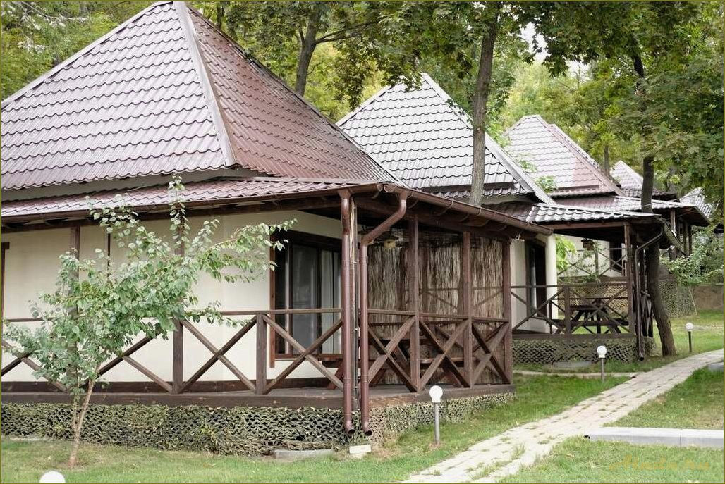 (развитие, туризма, саратовской, области, открытие) Развитие туризма в Саратовской области: открытие новых баз отдыха