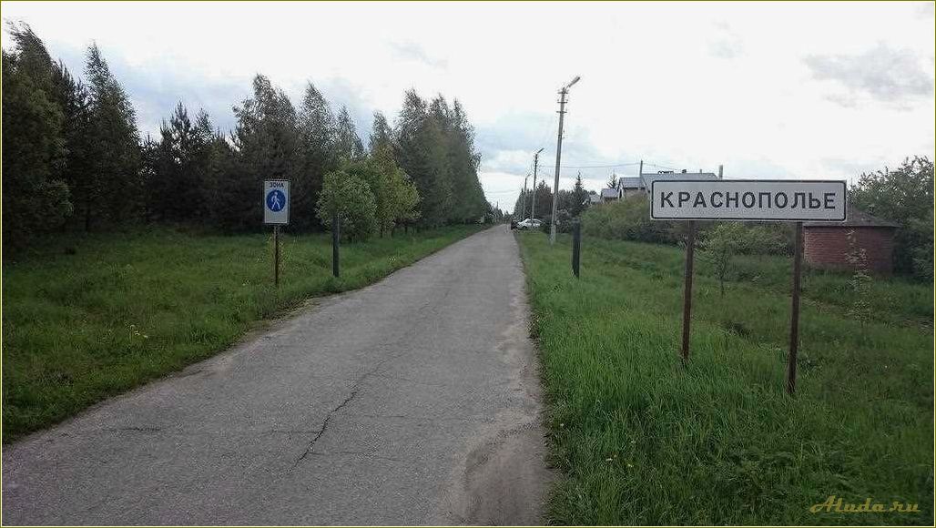 (отдых, краснополье, тульская, область, лучшие) Отдых в Краснополье, Тульская область: лучшие места и развлечения