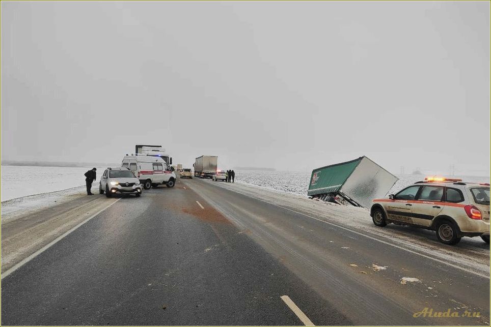 (отдых, рязанской, области, исторические, достопримечательности) Отдых на 3 дня в Рязанской области — исторические достопримечательности, природные парки и гастрономические удовольствия