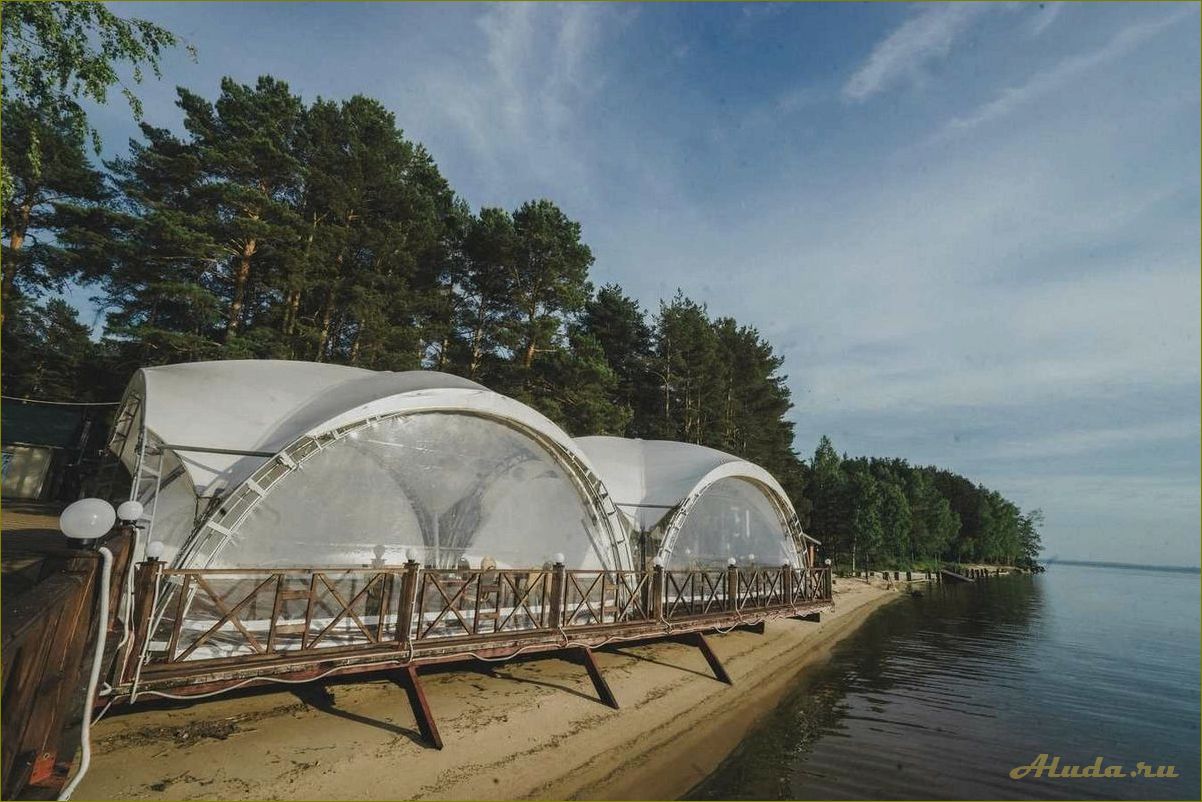 (отдых, биглионе, нижегородской, области, лучшие) Отдых на Биглионе в Нижегородской области — лучшие места для активного и спокойного отдыха