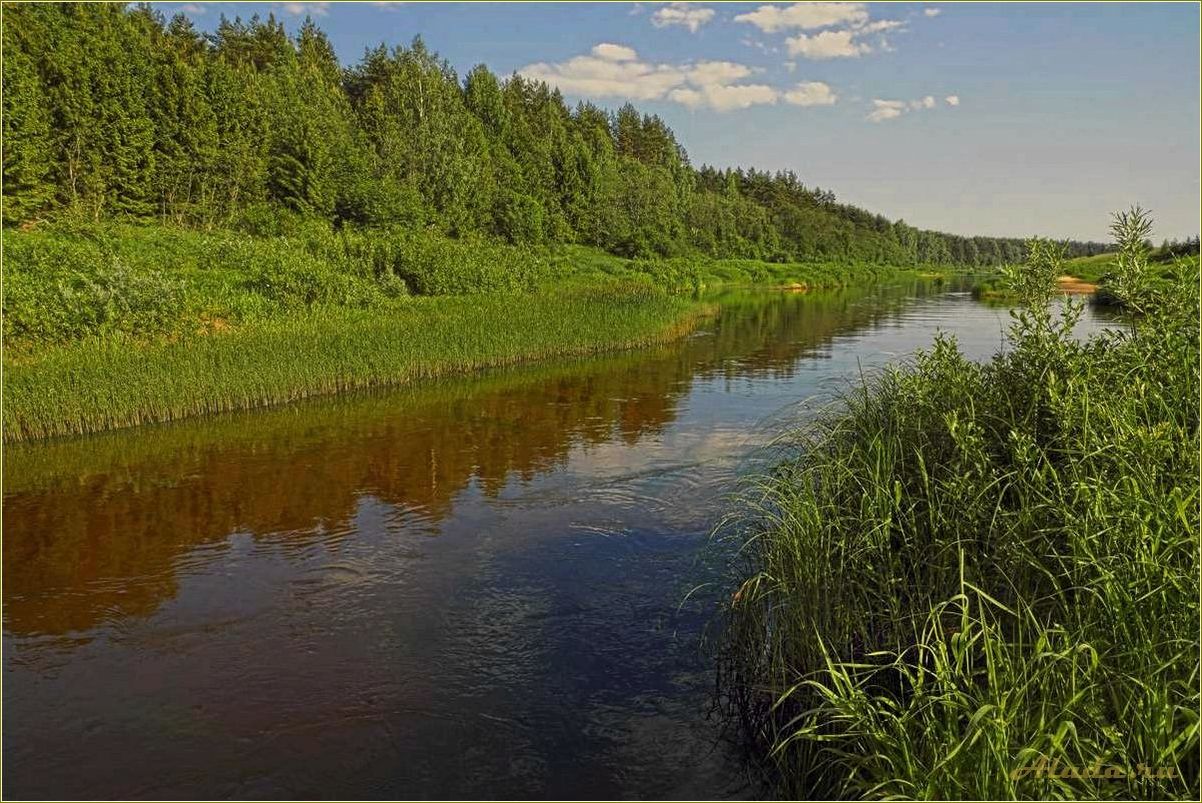 (отдых, реках, тверской, области, лучшие) Отдых на реках Тверской области: лучшие места для активного отдыха и рыбалки