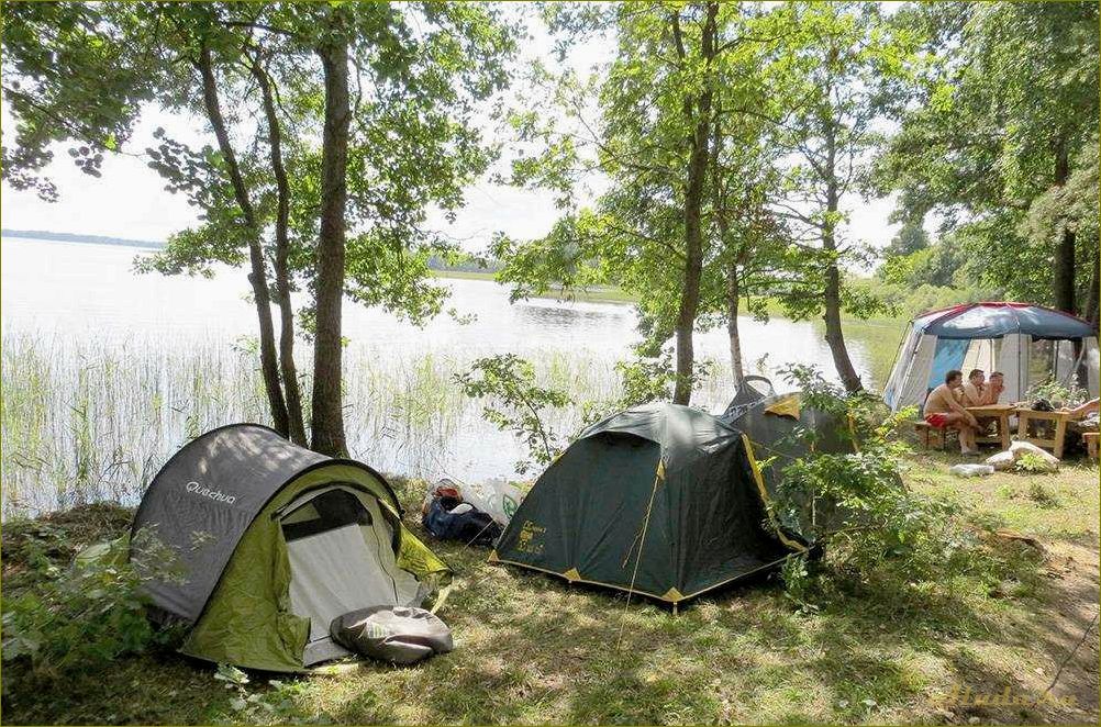 Отдых с палатками в живописной нижегородской области — насладитесь природой и свежим воздухом