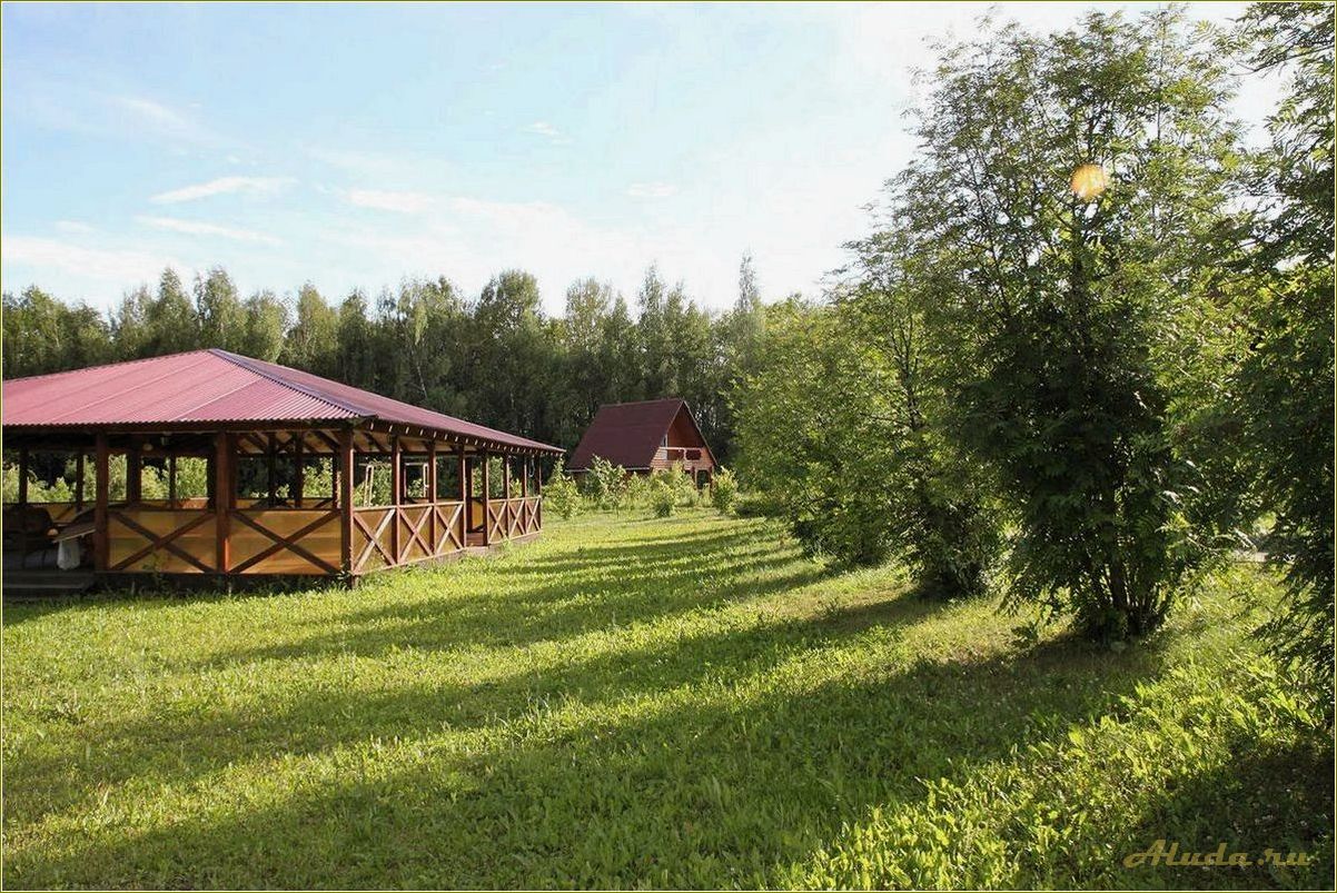 Отдых в Тульской области: база отдыха 