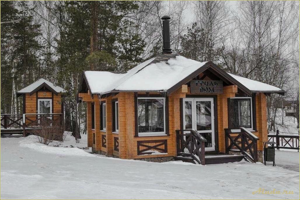 Отдых в Тульской области: база отдыха 