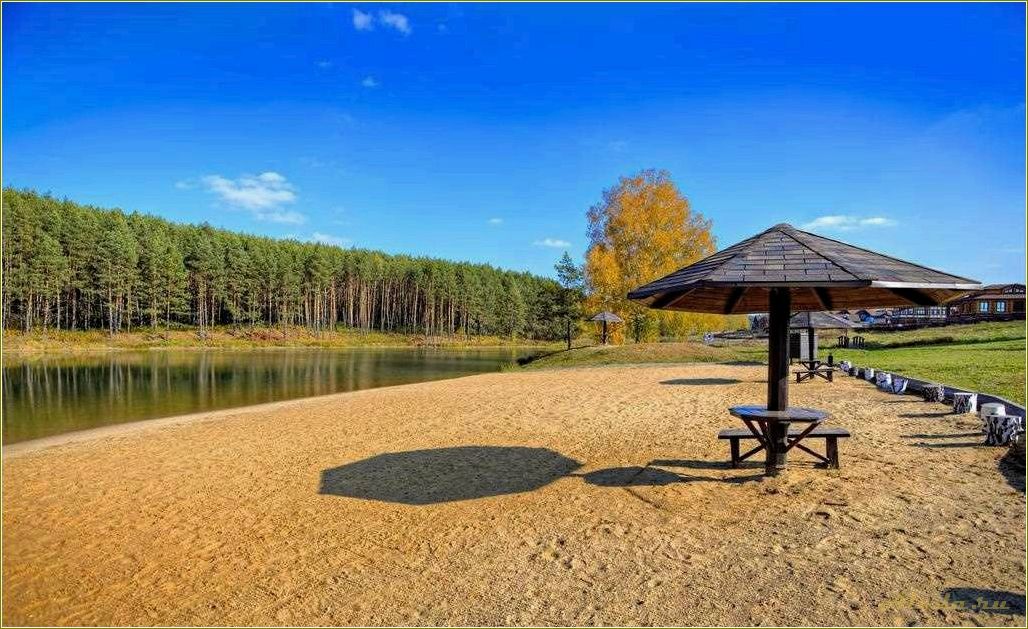 Отдых в Тульской области: база отдыха 