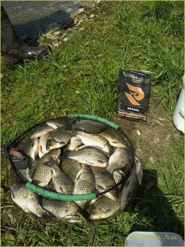 (отдых, карасях, рязанская, область, лучшие) Отдых в карасях Рязанская область — лучшие места и активности для полноценного отдыха