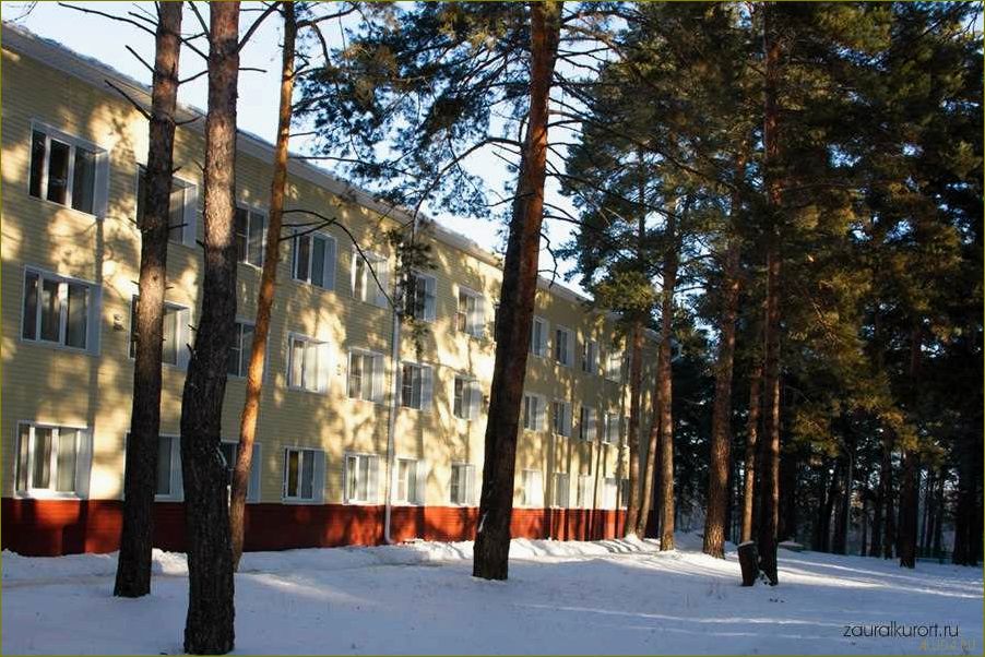 (отдых, лесниках, курганской, области, наслаждайтесь) Отдых в лесниках Курганской области — наслаждайтесь природой, активным отдыхом и уютными коттеджами