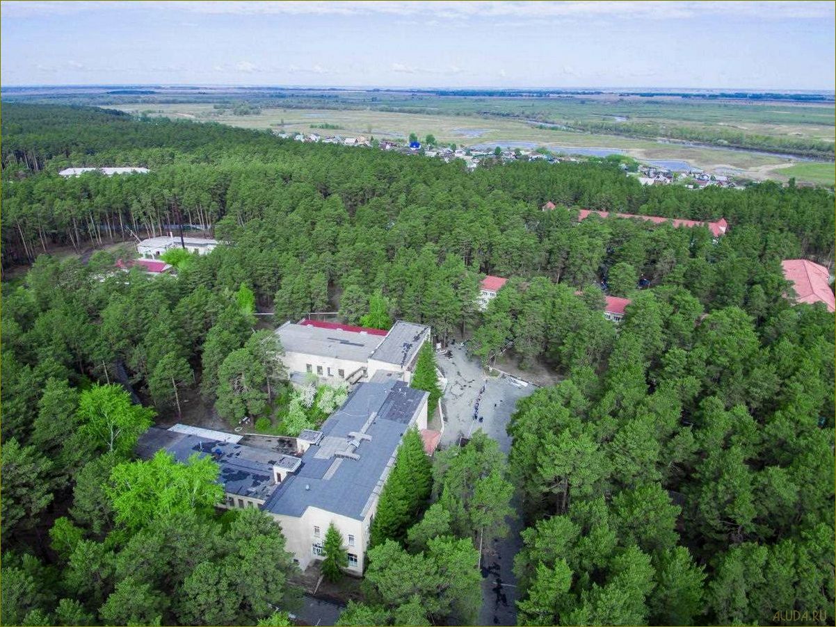 (отдых, лесниках, курганской, области, наслаждайтесь) Отдых в лесниках Курганской области — наслаждайтесь природой, активным отдыхом и уютными коттеджами