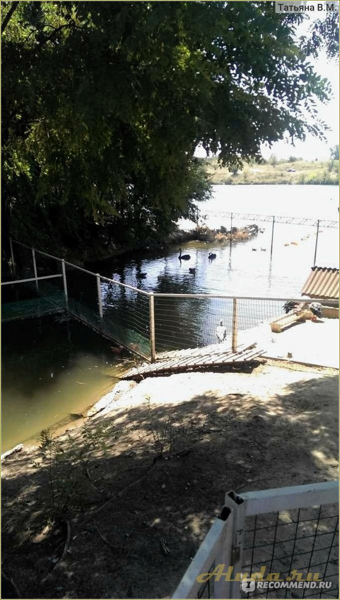 (отдых, малинках, ростовская, область, отличный) Отдых в Малинках, Ростовская область — отличный выбор для спокойного и комфортного отпуска