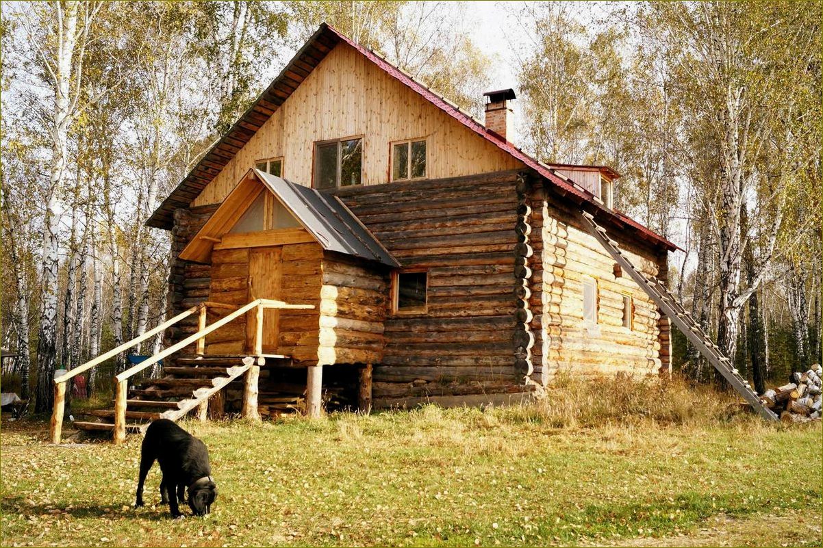 (отдых, муромцево, лучшая, база, отдыха) Отдых в Муромцево — лучшая база отдыха в Омской области