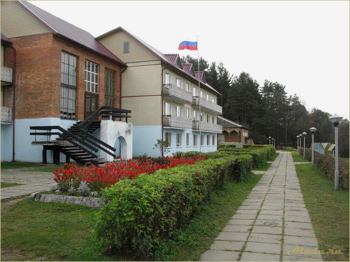 (идеальный, отдых, пансионате, прекрасной, псковской) Идеальный отдых в пансионате в прекрасной псковской области — комфорт, природа и релаксация