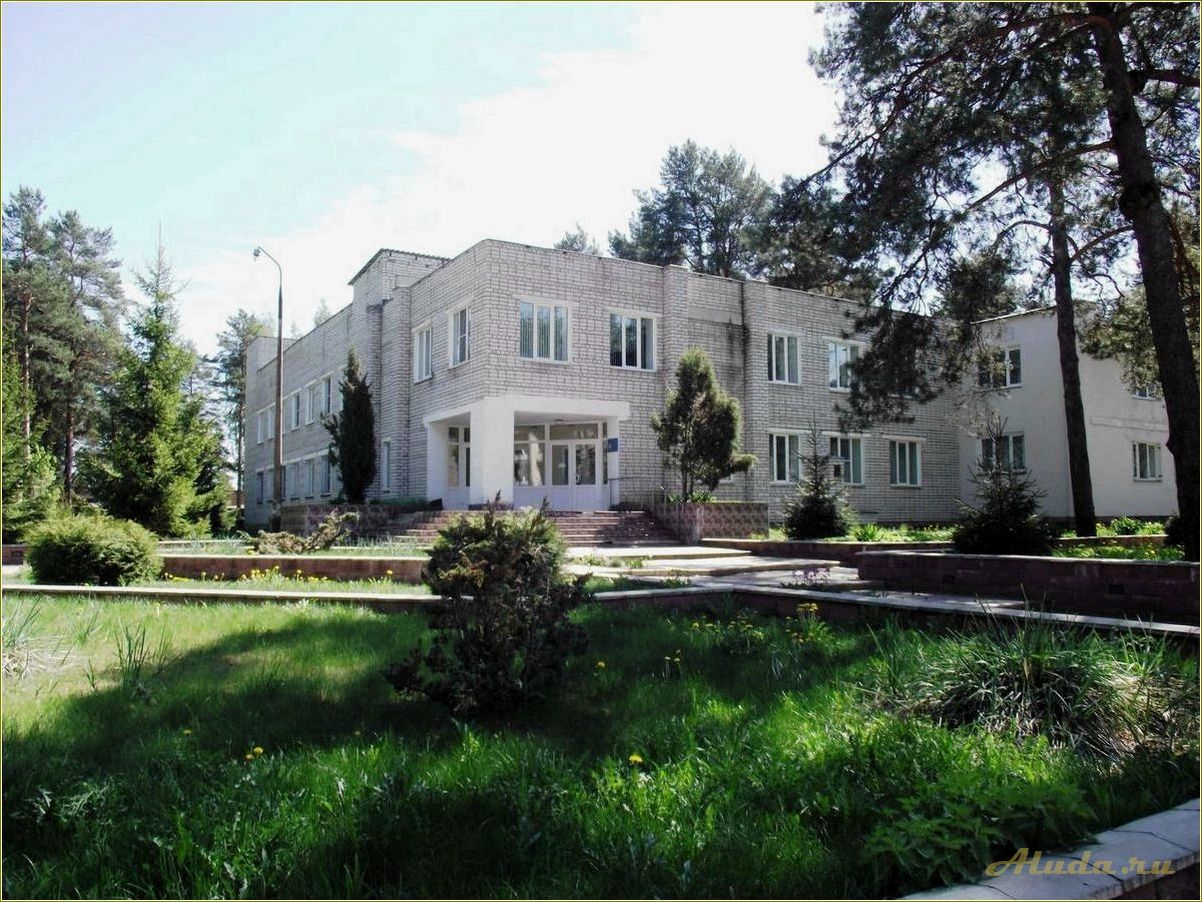 (идеальный, отдых, пансионате, прекрасной, псковской) Идеальный отдых в пансионате в прекрасной псковской области — комфорт, природа и релаксация