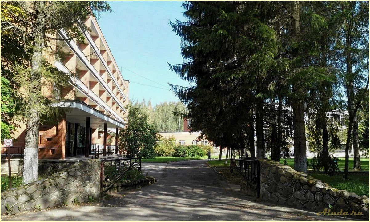 (идеальный, отдых, пансионате, прекрасной, псковской) Идеальный отдых в пансионате в прекрасной псковской области — комфорт, природа и релаксация