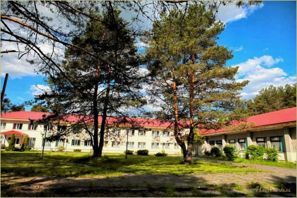 (идеальный, отдых, пансионате, прекрасной, псковской) Идеальный отдых в пансионате в прекрасной псковской области — комфорт, природа и релаксация