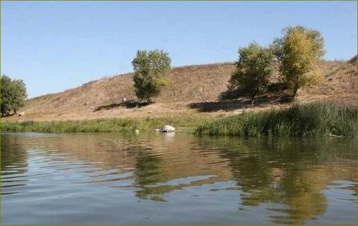(отдых, суровикино, прекрасная, возможность, насладиться) Отдых в Суровикино — прекрасная возможность насладиться природой и историей Волгоградской области